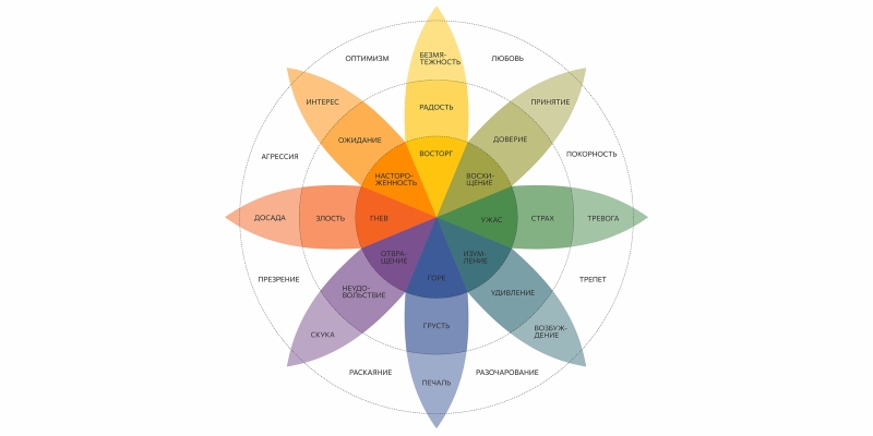 6 базовых эмоций, которые играют решающую роль в нашей жизни