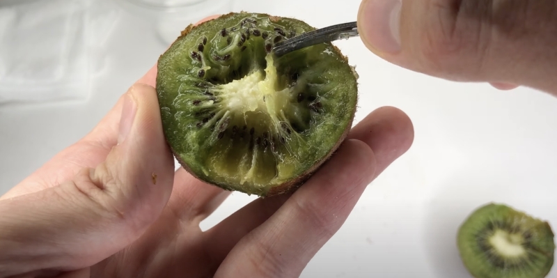 Как вырастить киви в домашних условиях