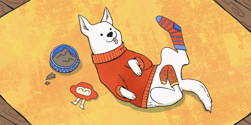 7 ошибок, которые хозяева собак совершают из любви к своим питомцам