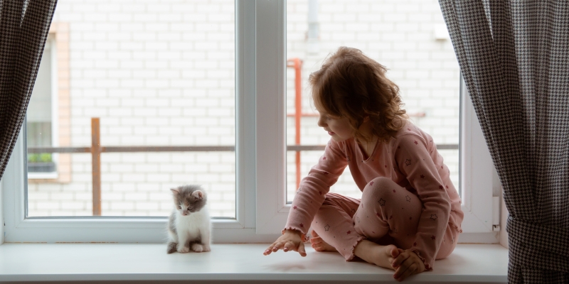 7 пород кошек для семей с детьми: какую выбрать, чтобы все были счастливы