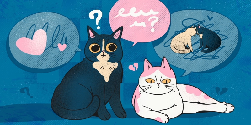 10 фраз, чтобы успокоить ревнивого партнёра без упрёков и драмы