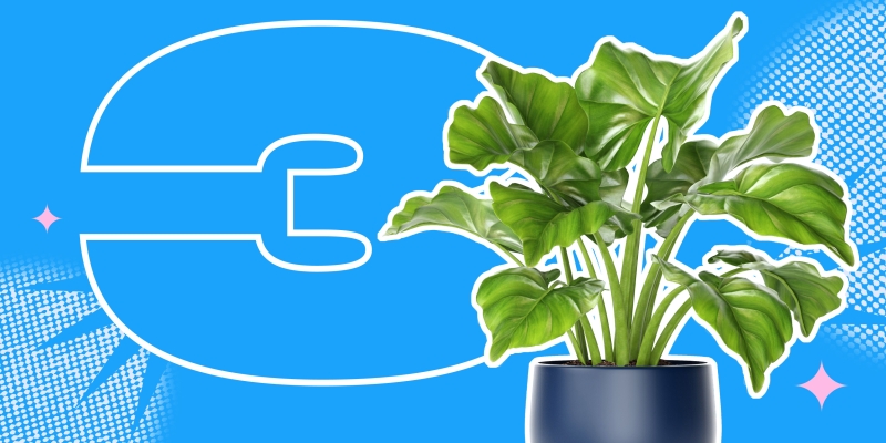 3 способа использовать большой подоконник летом 